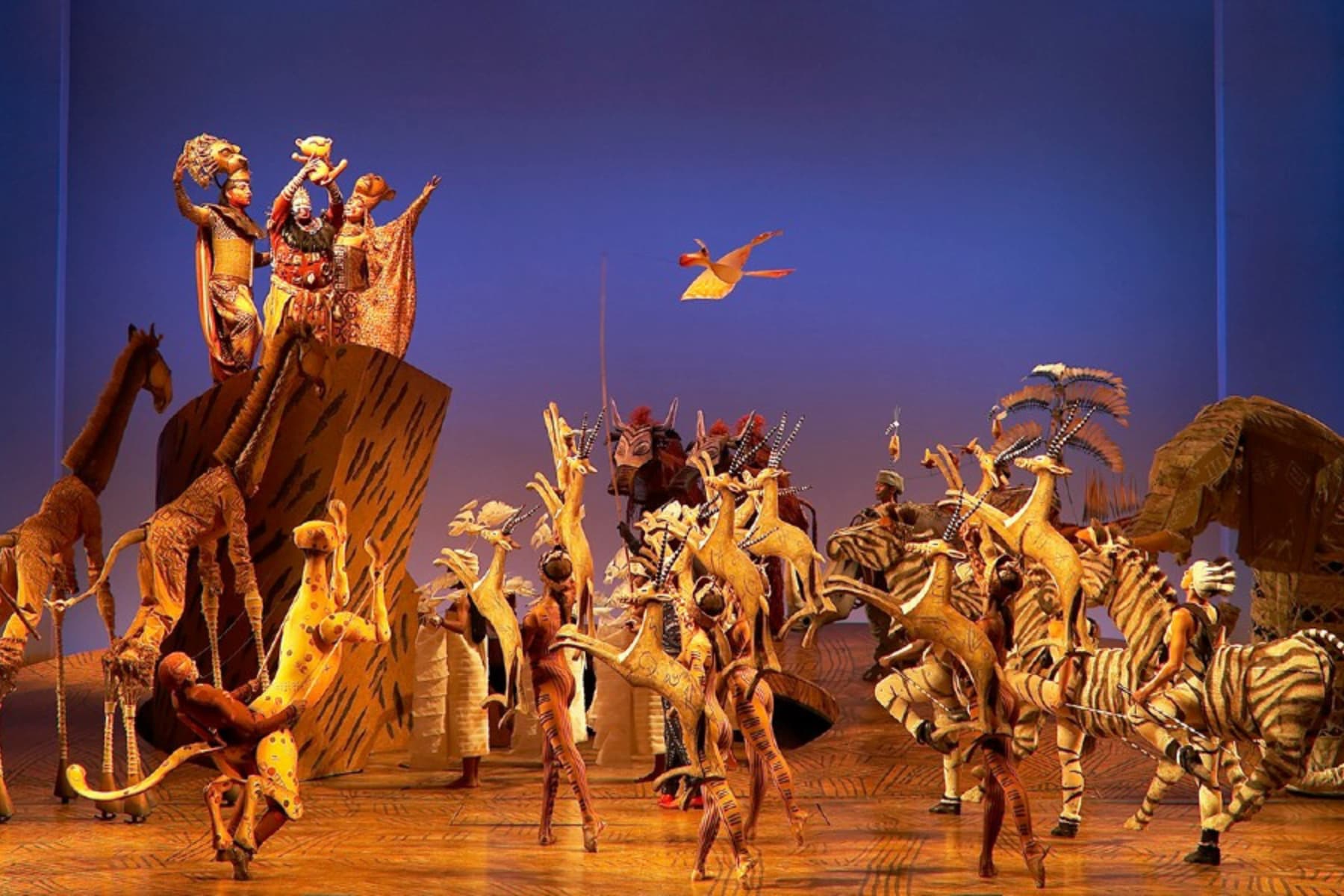 The Lion King photo from Sydney musical