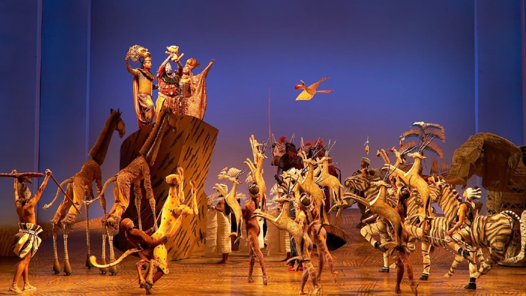 The Lion King Musical Show