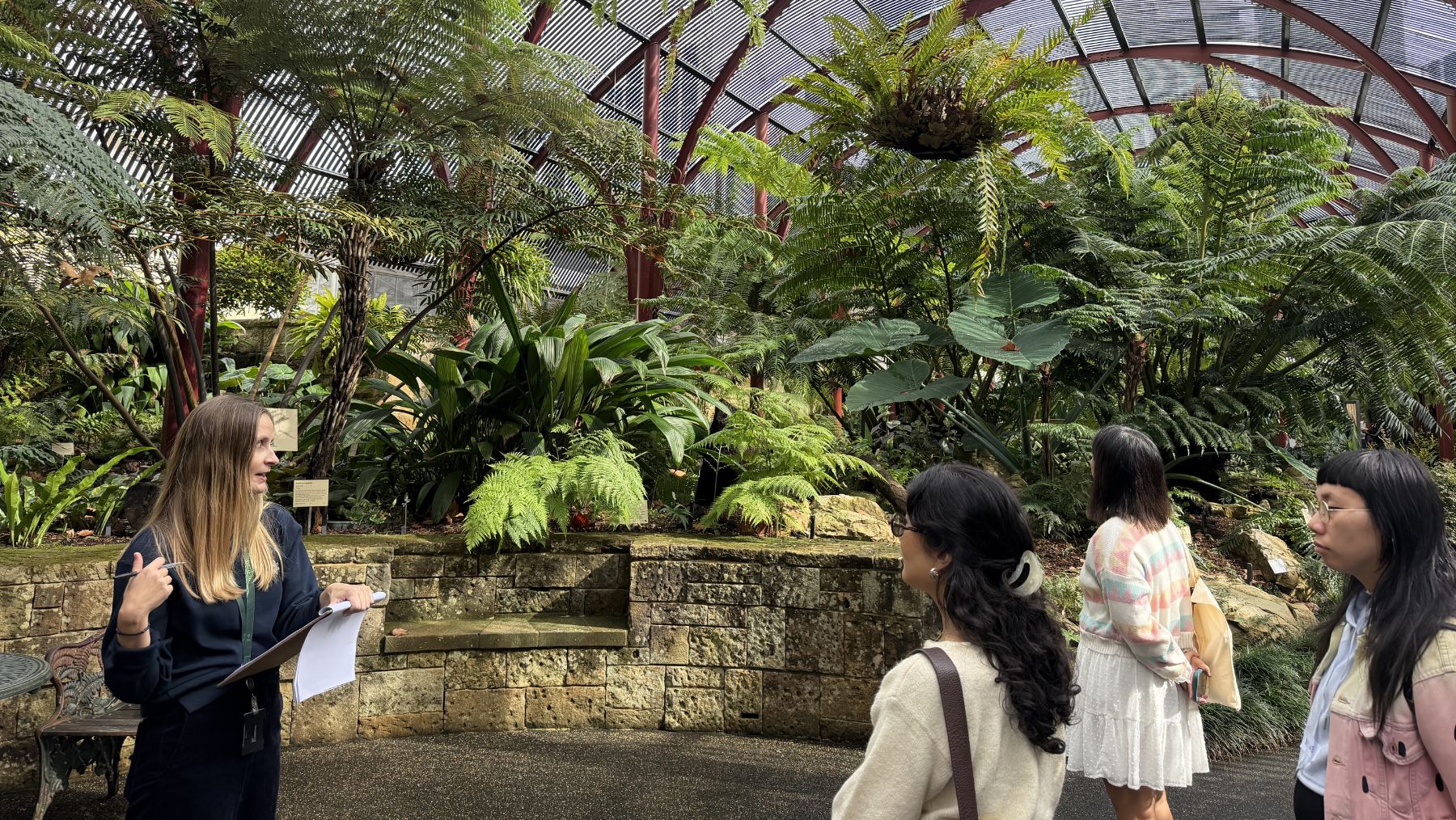 The Fernery Royal Botanic Garden