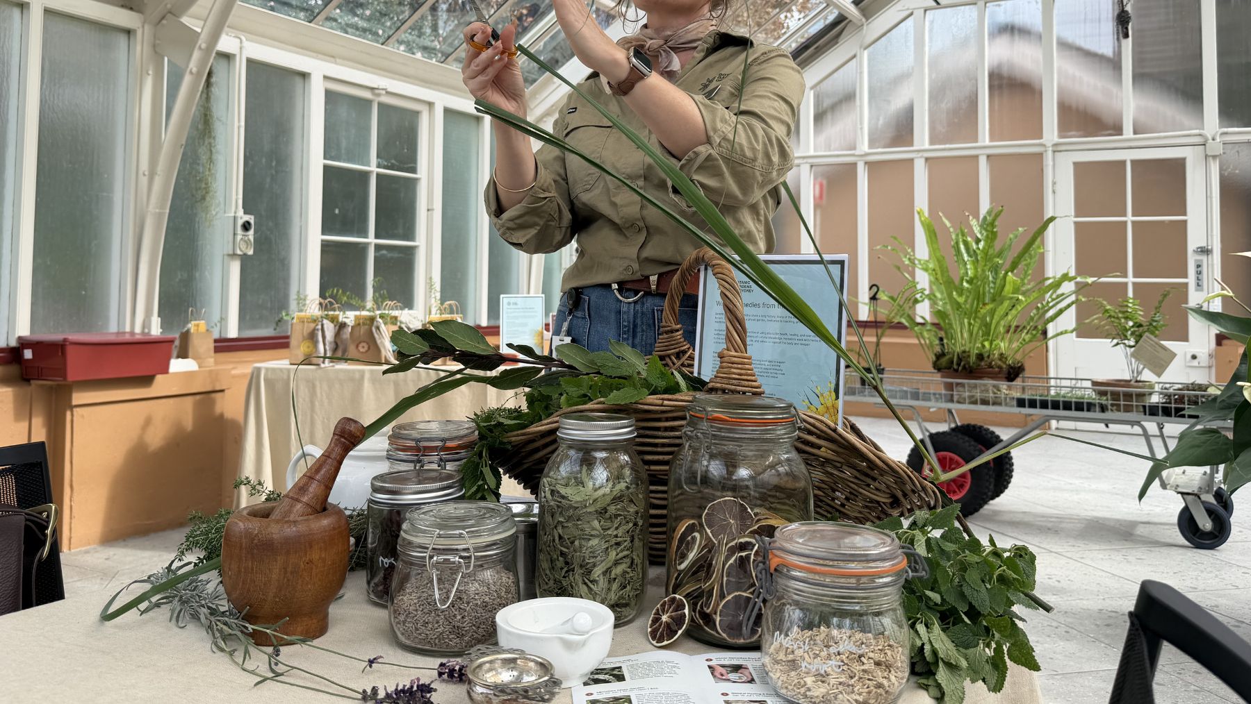 Winter Remedies from the Garden