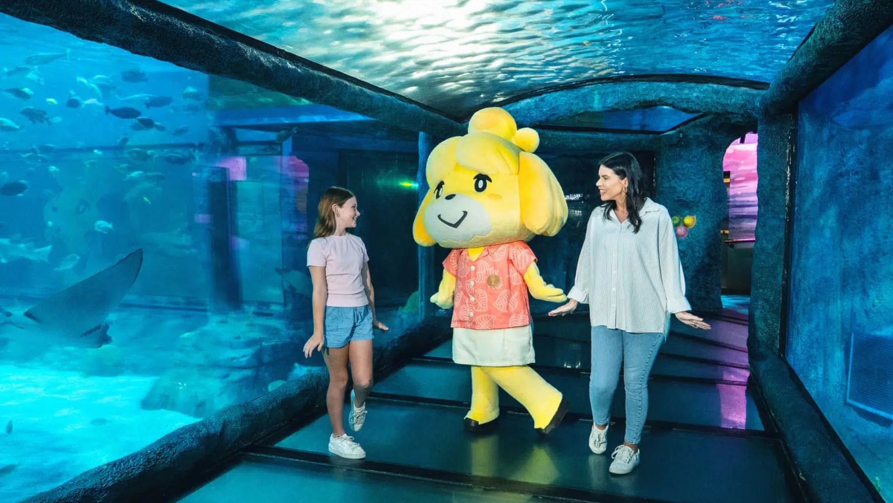 Animal Crossings SEALIFE