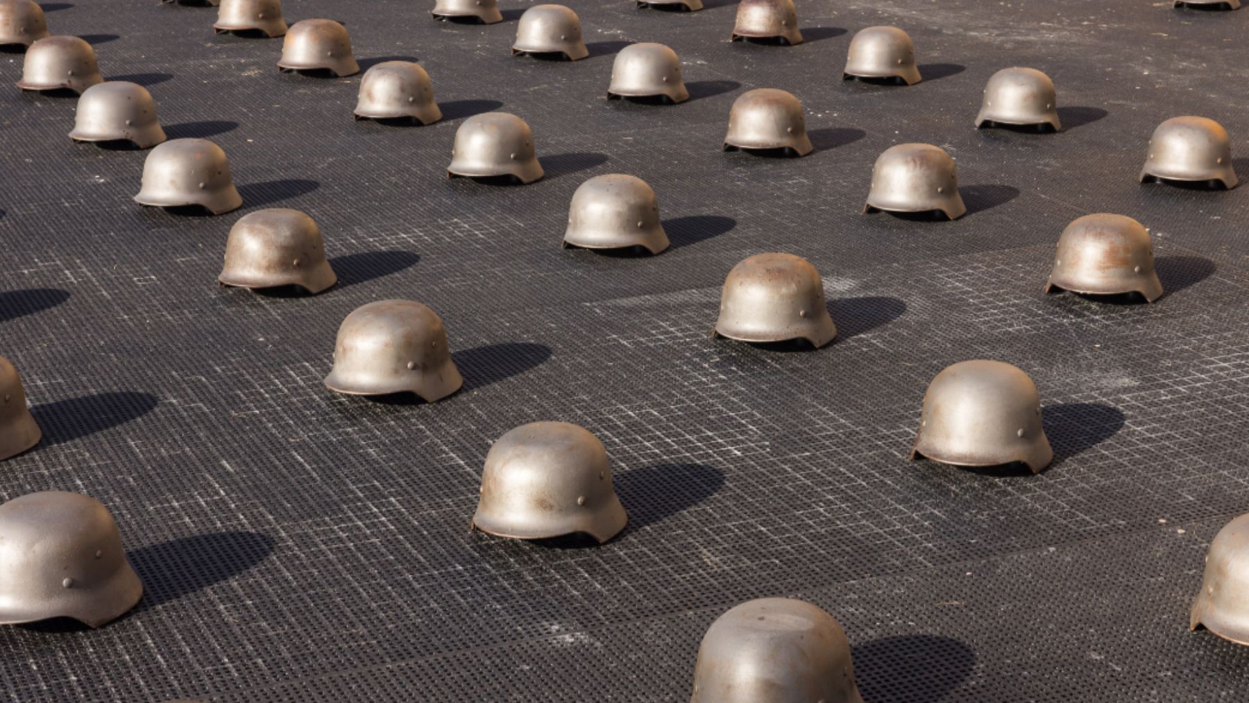 Ai Weiwei, Mushrooms, 2026, installation.