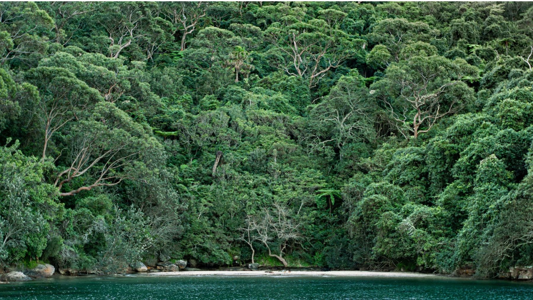 Taylors Bay